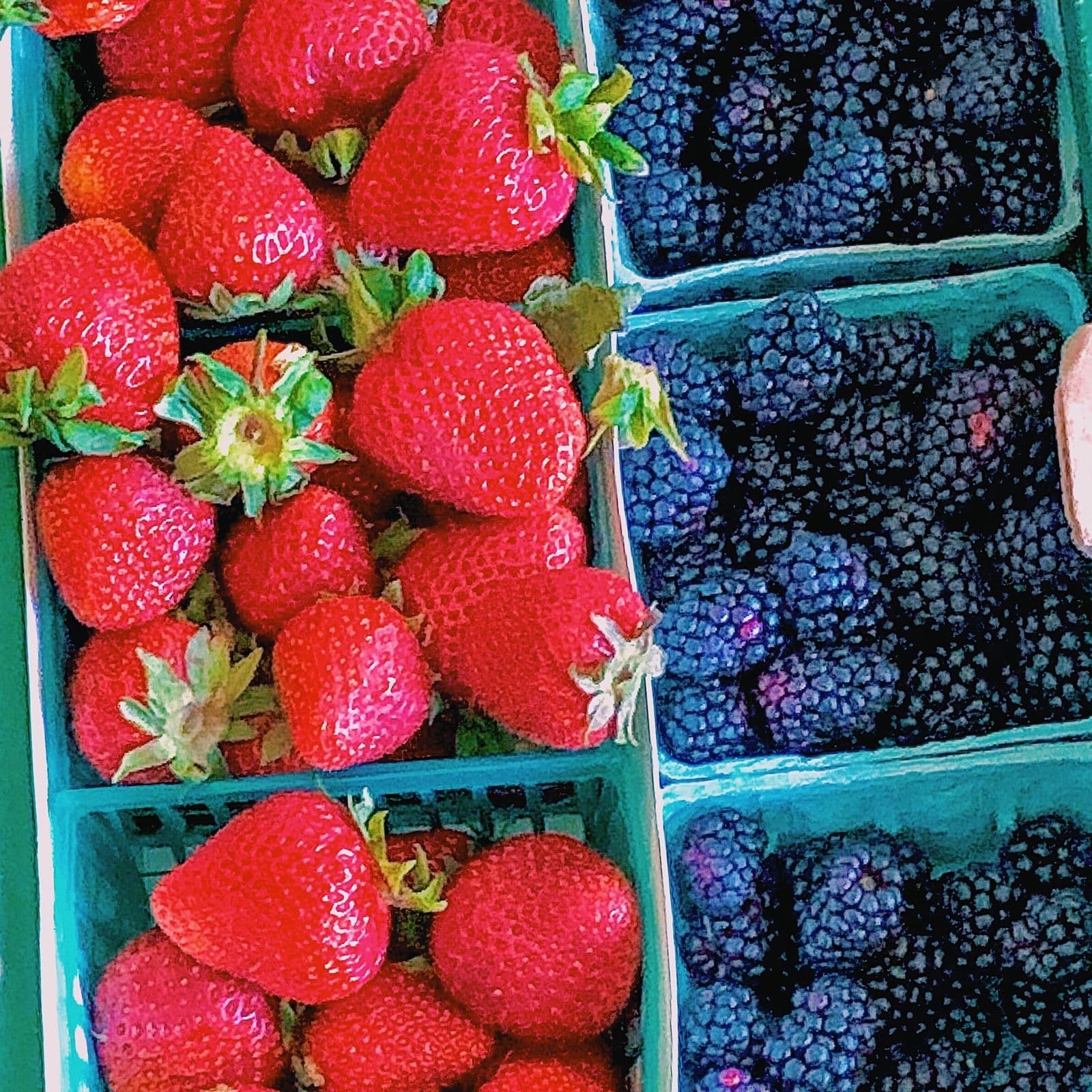 a bowl of ripe hand-picked summer berries